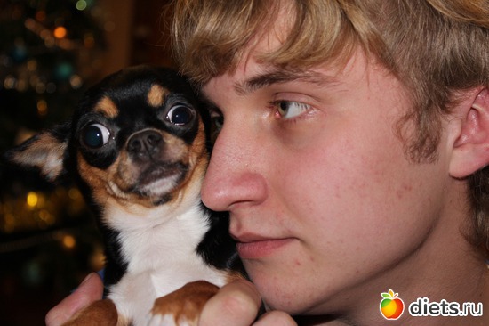 �� �������� ����� �� ����, ������: ��� ������� ��������