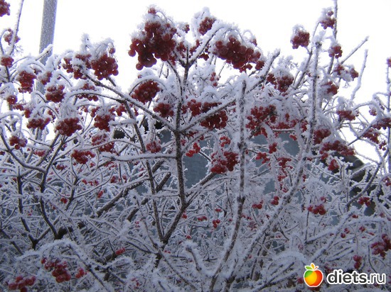 ������., ������: 2012 ���.