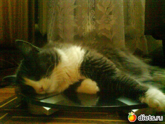 4 ����: ��� �������� ( ��� ������� )