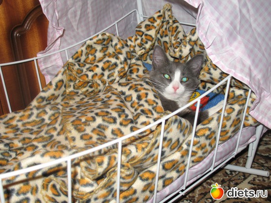 7 ����: ��� �������� ( ��� ������� )