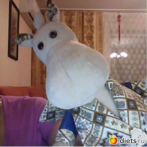 �������� �����