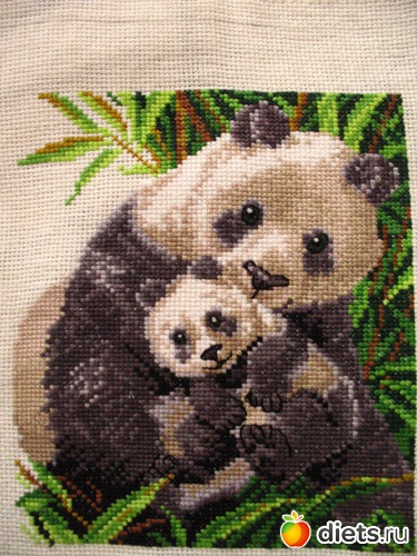 6 ����: ��� �����������