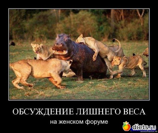 Жир..., альбом: Всякое