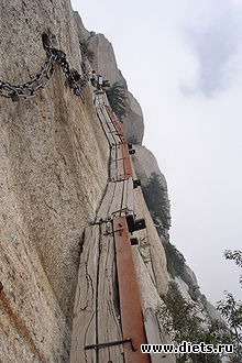 ��������, �����