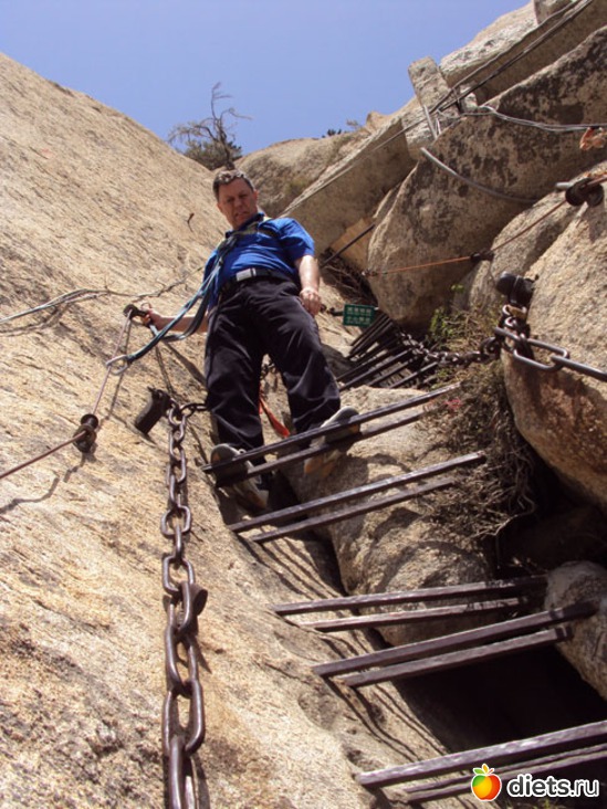 9 ����: ������