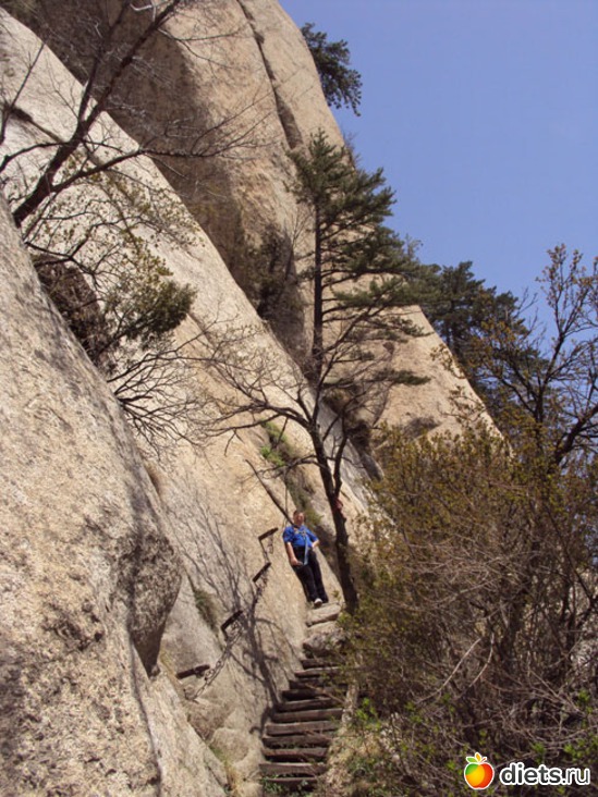 14 ����: ������