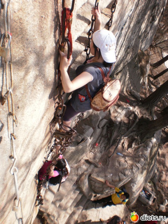 15 ����: ������