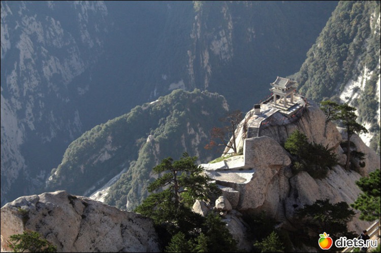 16 ����: ������