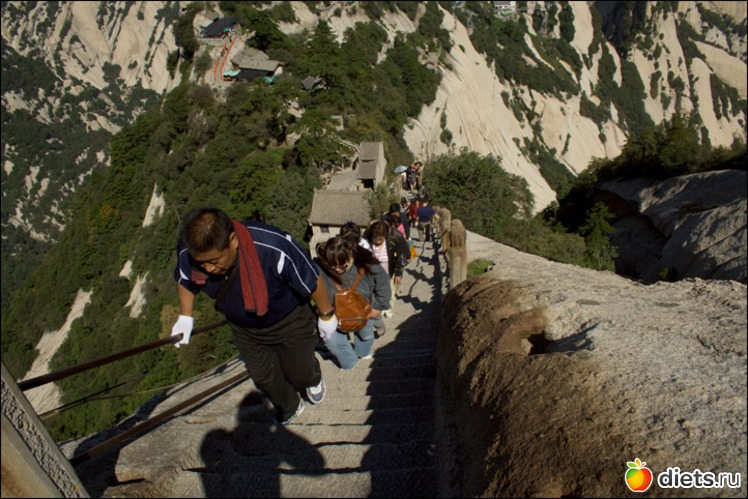 17 фото: разное