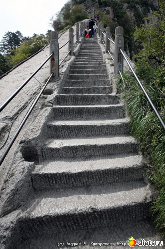 18 ����: ������