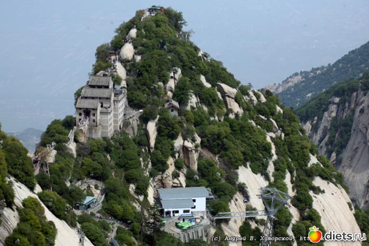 19 ����: ������