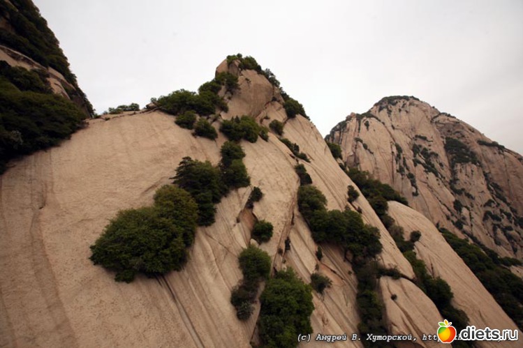 21 ����: ������