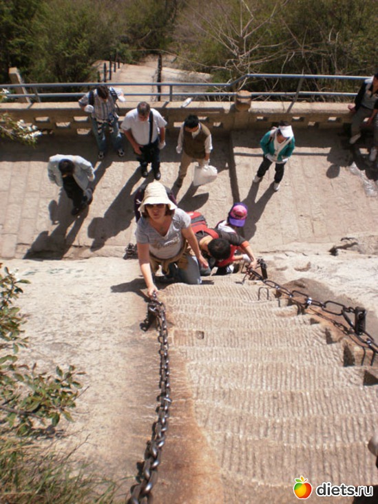 22 ����: ������