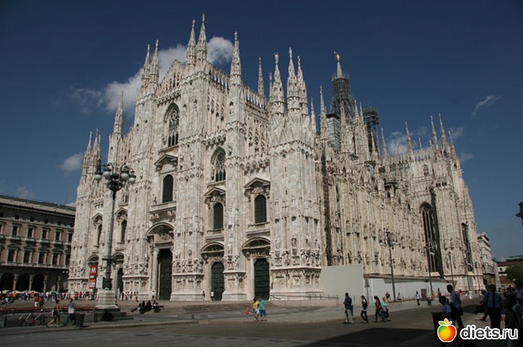 24 ����: ������