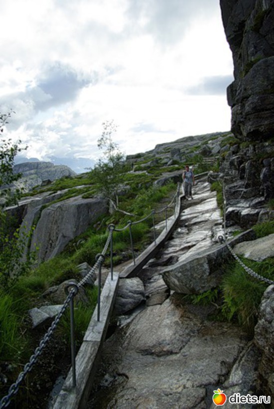 26 ����: ������