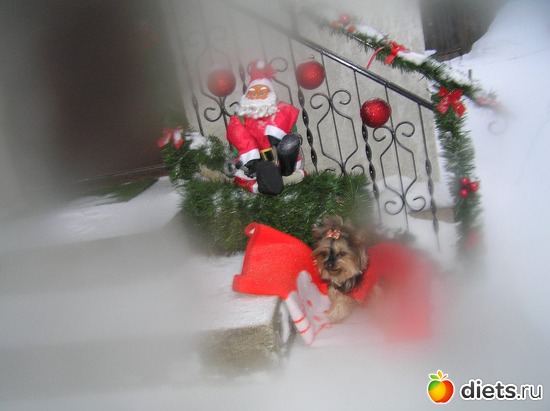 2 ����: RIGA