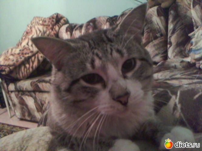 5 ����: ��� ���