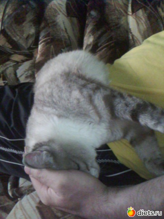 6 ����: ��� ���