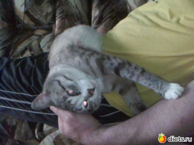 7 ����: ��� ���