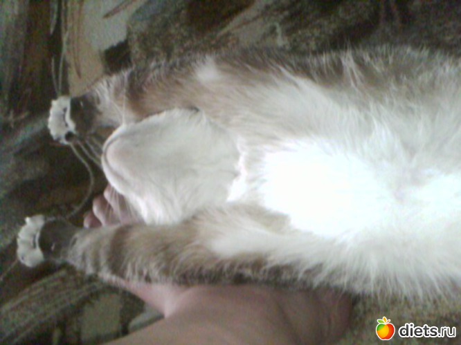 8 ����: ��� ���