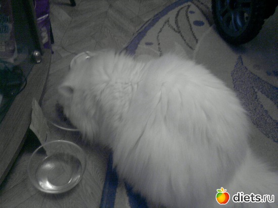 9 ����: ��� ���