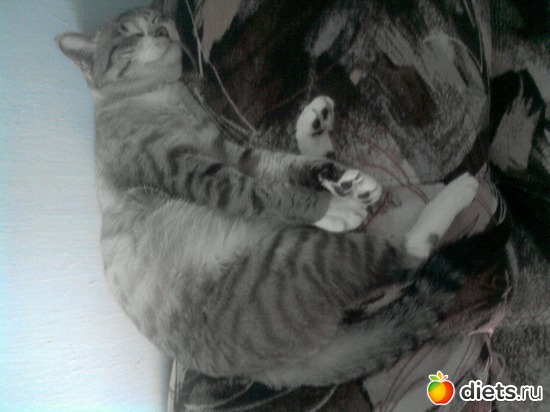 10 ����: ��� ���