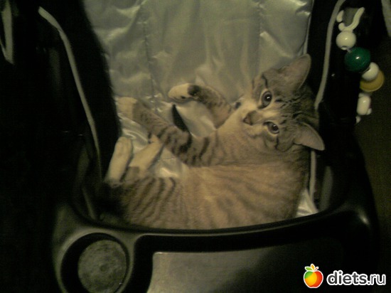 11 ����: ��� ���