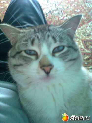 12 ����: ��� ���