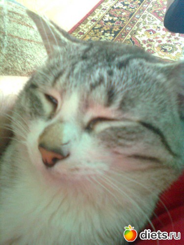 13 ����: ��� ���