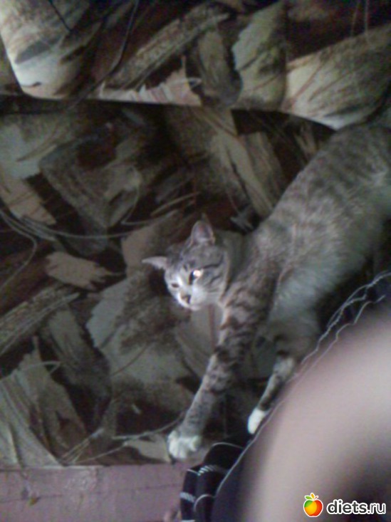 18 ����: ��� ���