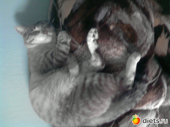 19 ����: ��� ���