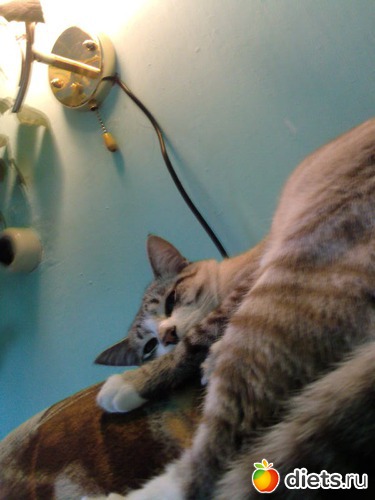 24 ����: ��� ���