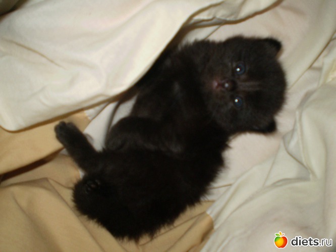 Моя красотка Глаша., альбом: жизнь...