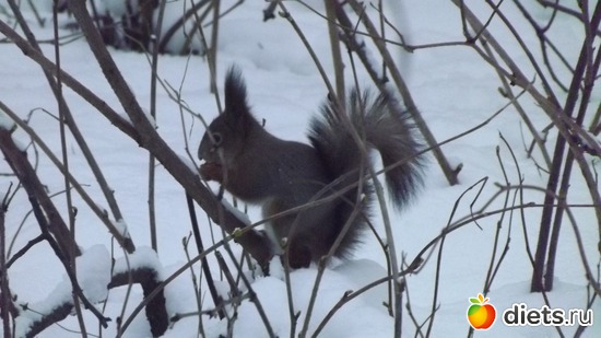 12 фото: Мы гуляли.