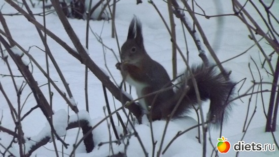 13 фото: Мы гуляли.