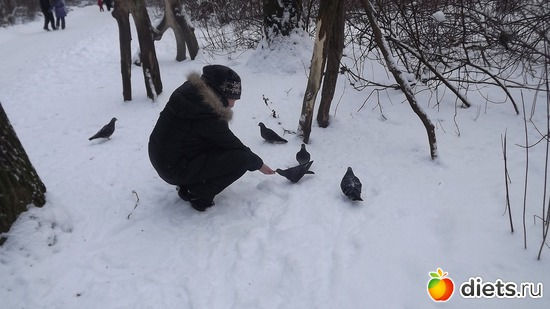 ����� �� �����, ������: �� ������.