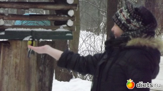 17 ����: �� ������.