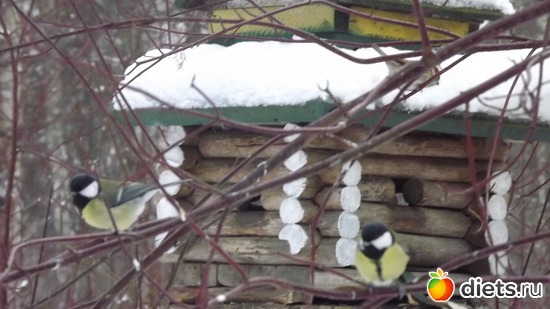 ������ ������))), ������: �� ������.