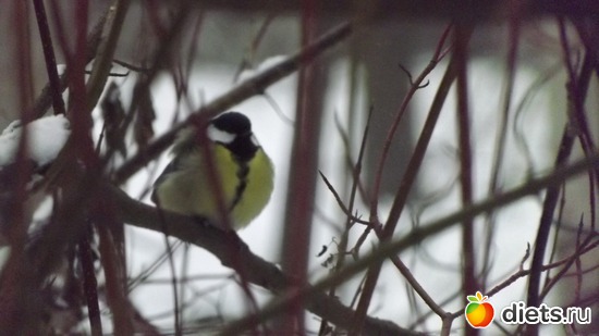 18 ����: �� ������.