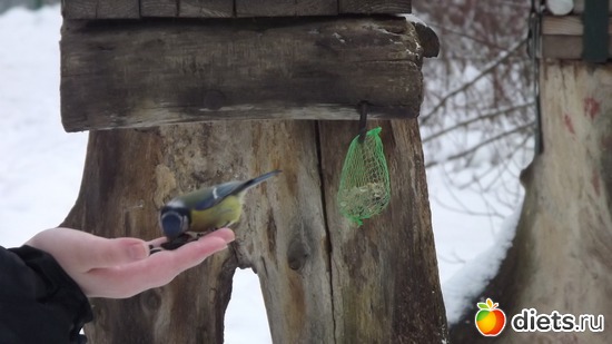 6 ����: �� ������.