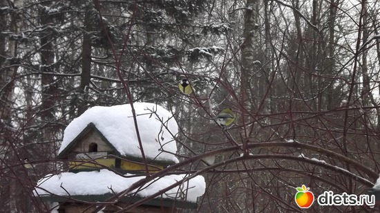 7 ����: �� ������.