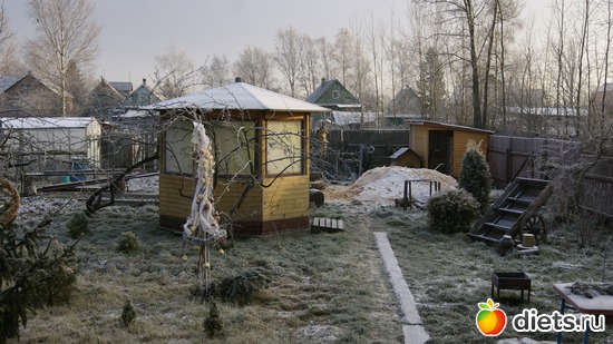 14 фото: Мой новый год!