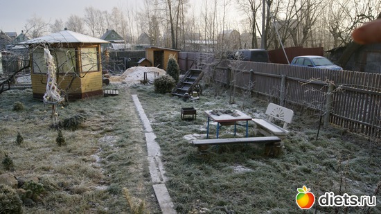 16 фото: Мой новый год!