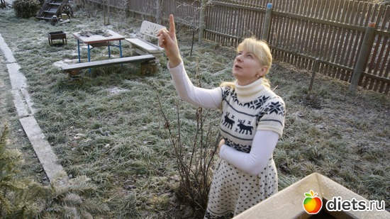 18 фото: Мой новый год!