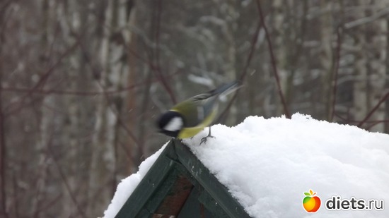 10 ����: �� ������.