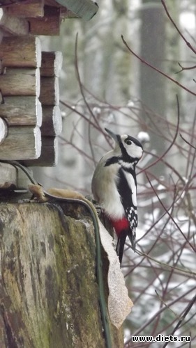 Красавчик, альбом: Мы гуляли.