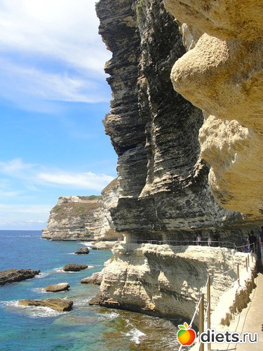 29 ����: ������