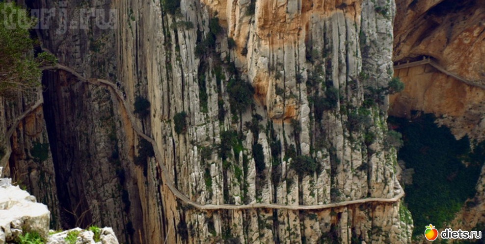 32 ����: ������