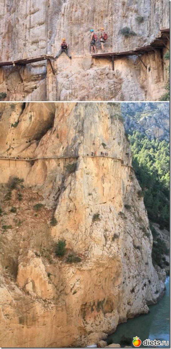 35 ����: ������