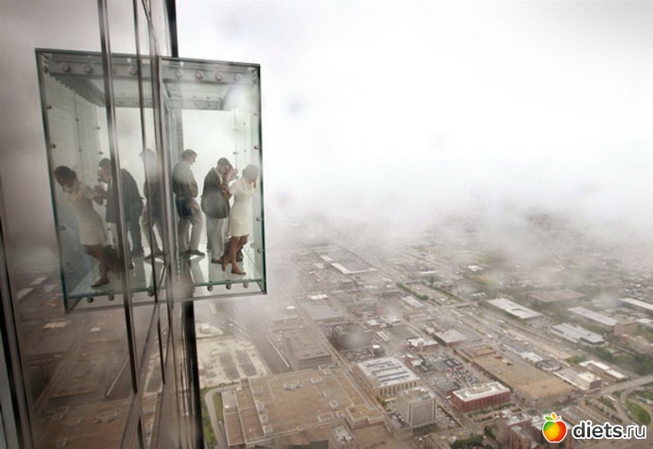 36 ����: ������